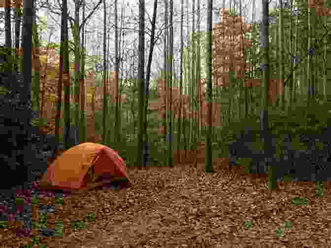 A Tent Set Up In A Campground Surrounded By Trees. Best Tent Camping: Minnesota: Your Car Camping Guide To Scenic Beauty The Sounds Of Nature And An Escape From Civilization