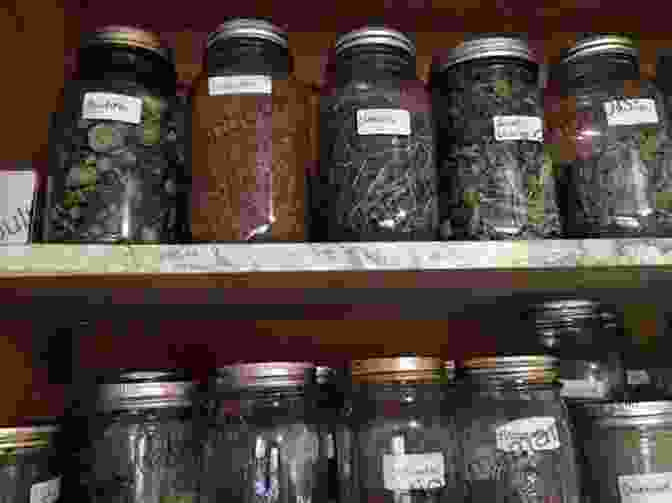Dried Herbs Stored In Glass Jars How To Dry Herbs?: Easy And Effective Guide To Dry Herbs At Home (How To Dry Herbs At Home How To Dry Foods)