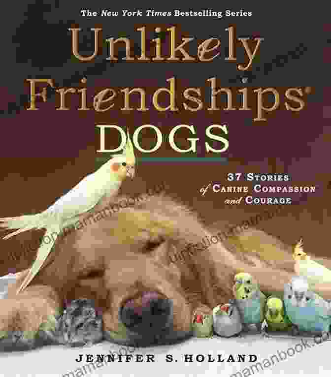Jake, A Unlikely Friendships Dogs: 37 Stories Of Canine Companionship And Courage