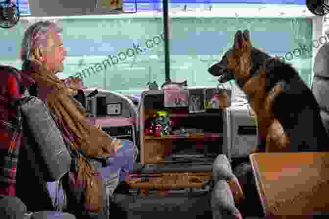 K 9, A German Shepherd Who Starred In The Movie Unlikely Friendships Dogs: 37 Stories Of Canine Companionship And Courage