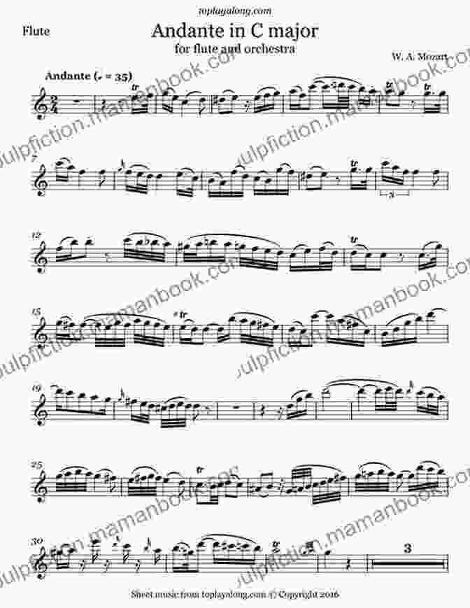 Mozart Flute Concerto No. 1, Andante Ma Non Troppo, Sheet Music Excerpt Mozart Flute Concerto No 2 In D Major K 314/285d Sheet Music Score
