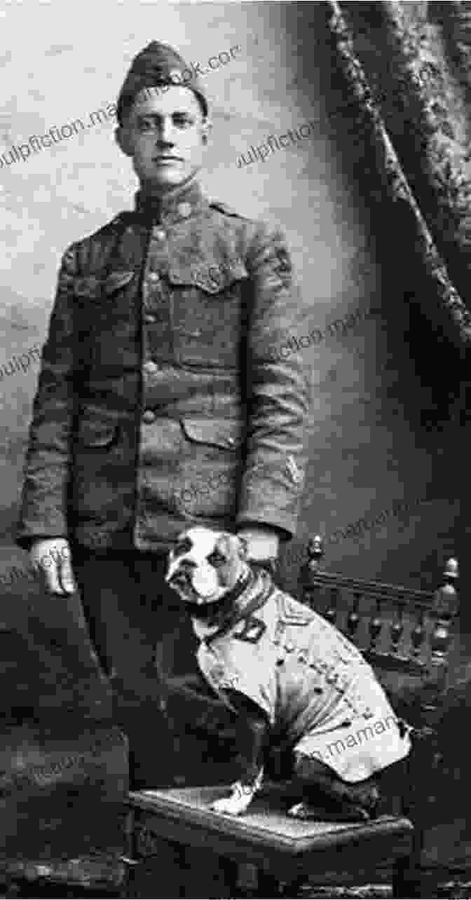 Sgt. Stubby, A Bulldog Who Served In World War I Unlikely Friendships Dogs: 37 Stories Of Canine Companionship And Courage