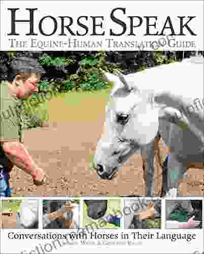 Horse Speak: An Equine Human Translation Guide: Conversations With Horses In Their Language